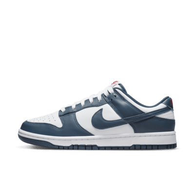 Nike Dunk Low Retro Men's Shoe